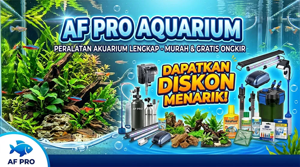 Softlaunching AF PRO Murah