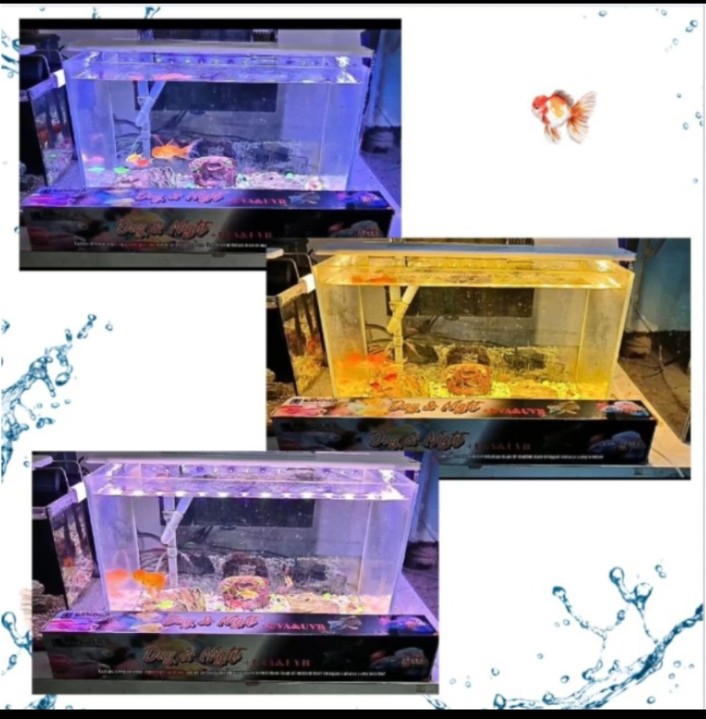 LAMPU LED KANDILA DAY NIGHT SN 500 LED AQUARIUM NIGHT VIEW